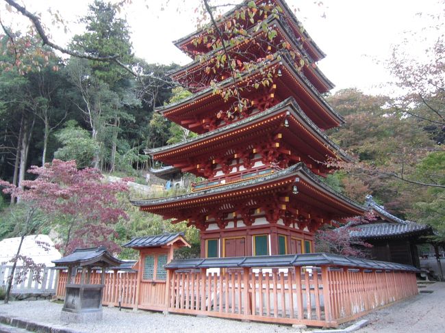 帰りは西参道から<br />途中　五重塔<br /><br />ここも少し紅葉が・・♪