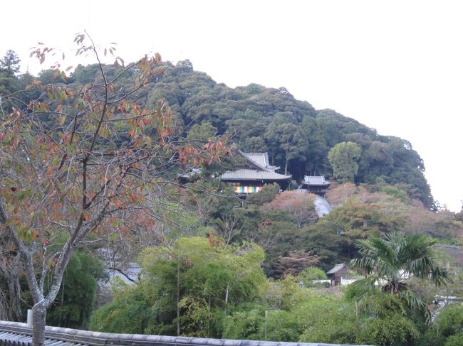 お堂前から本堂を眺める