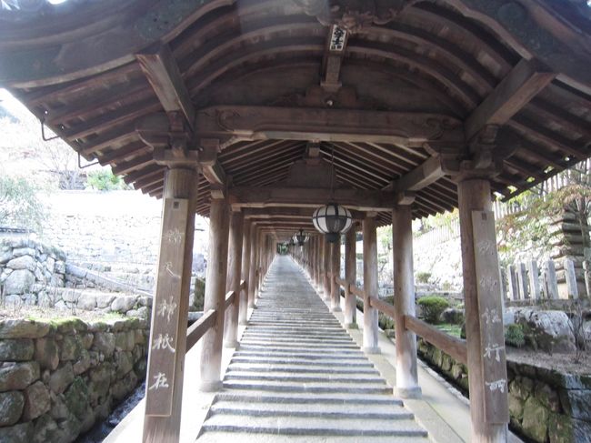 登廊<br /><br />この両脇にアジサイやボタンが<br />沢山植わってる<br /><br />長谷寺は桜もキレイだし、秋は紅葉と<br />四季を通じて楽しめるお寺さんです