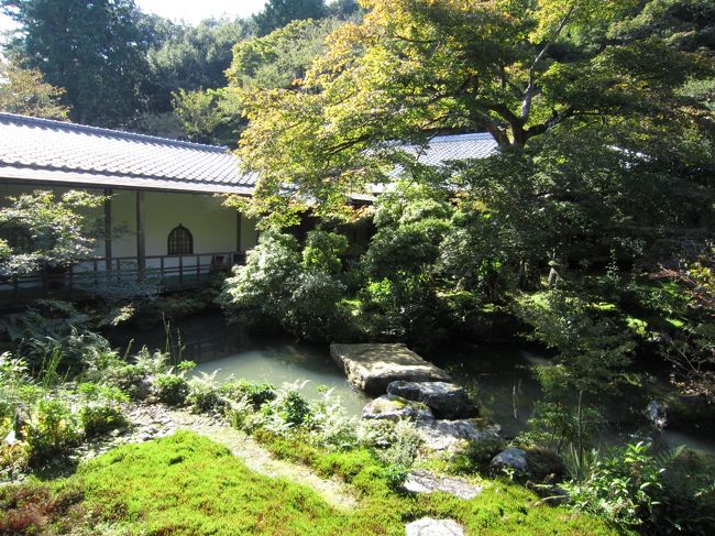 室内は撮影不可なので<br />縁側から中庭の様子を撮る