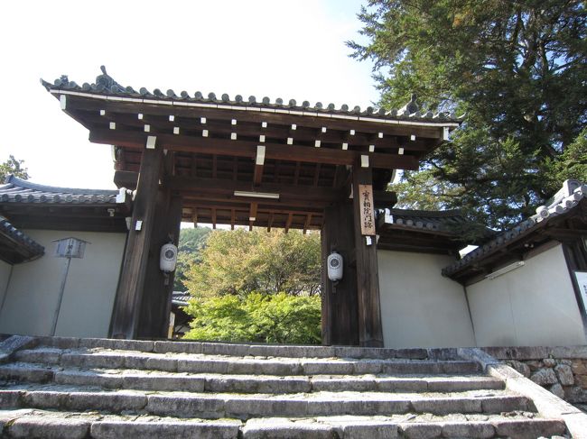 さてお次は　実相院（京都市）<br />午前中にお墓参りを済ませ、<br />その近くの実相院に寄った