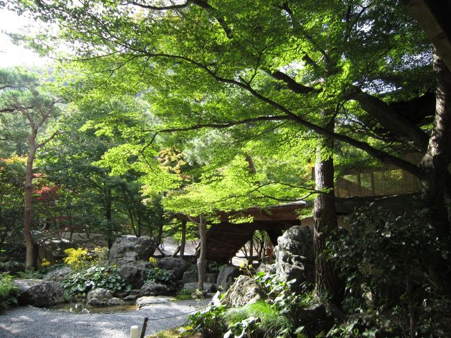 夏場は川床もあり