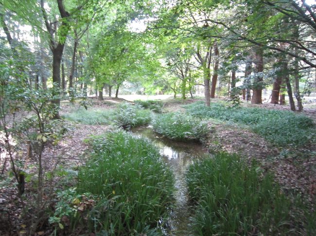 小川がさわさわと流れてる辺り、<br />少し伊勢神宮の雰囲気に似てるかなぁ