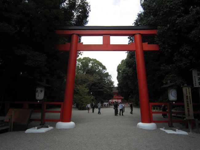 鳥居が見えてきました