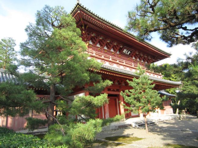 とにかく隅々までキレイにお手入れが行き届いてる<br /><br />三門<br />ここに利休像が建てられ、秀吉の怒りを買う