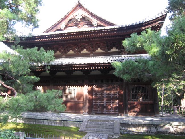 見事な松が建物を覆うように囲む