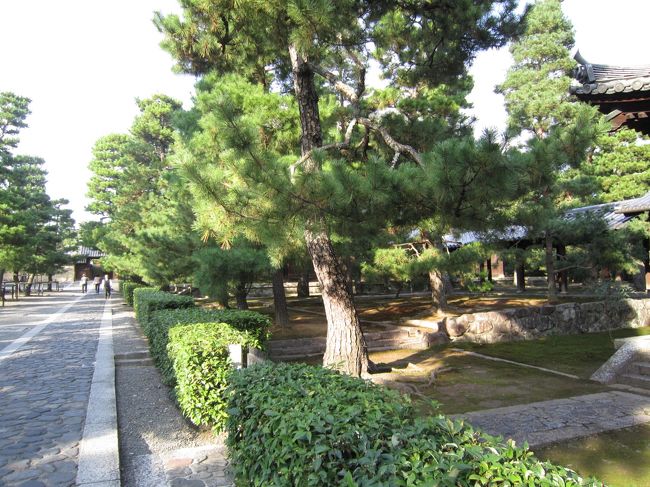 松のお手入れだけでも大変だろうな