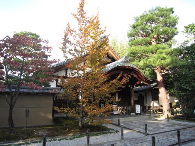 数百年もの歴史を見てきた松たち