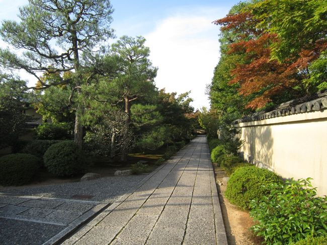 塔頭をつなぐ小路もすっきりキレイ