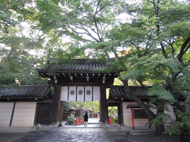 どこもかしこも絵になるな〜