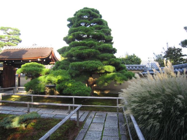 外側から撮れる範囲でお庭の様子を・・<br /><br />ススキが秋らしい♪