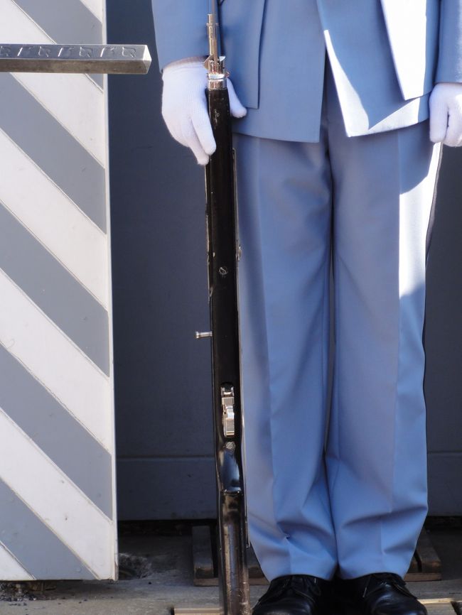 銃はダミーです。