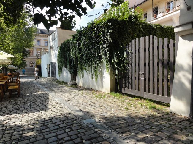 負っていたスパイと女性エージェントが刺された場所