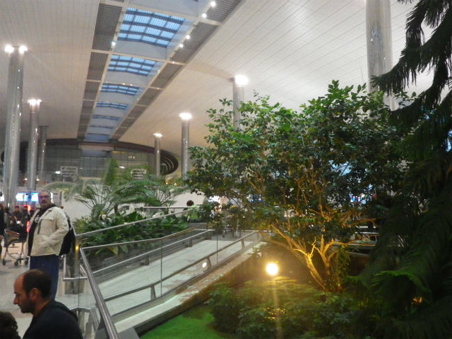 文句言っててもしょうがないので、案内の通りに歩き始めました。<br />流石にドバイ空港。ターミナル内にこんな庭園が作られていました。