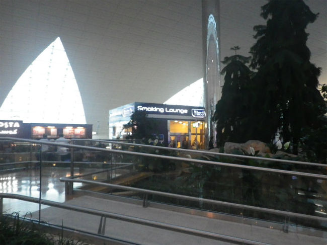 インフォメーションに出ていたターミナル１に行く途中、この庭園の近くに喫煙場所発見。ラッキー。<br />この喫煙場所はインフォメーションには出てなかったけど、長いフライトから開放されたので、兎に角ここで一服。