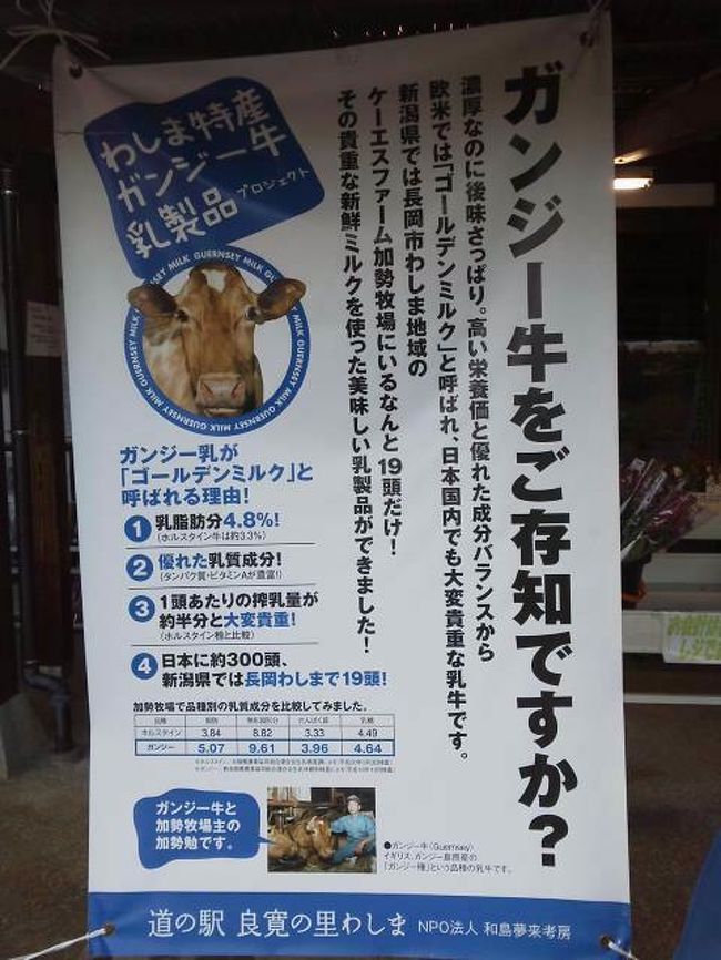 長岡市道の駅わしま もてなし家 イチオシのガンジーソフトを食べました 長岡 寺泊 新潟県 の旅行記 ブログ By ズボラ人さん フォートラベル 長岡市道の駅わしま もてなし家 イチオシのガンジーソフトを食べました 長岡 寺泊 新潟県 の旅行記 ブログ By ズボラ人さん フォートラベル