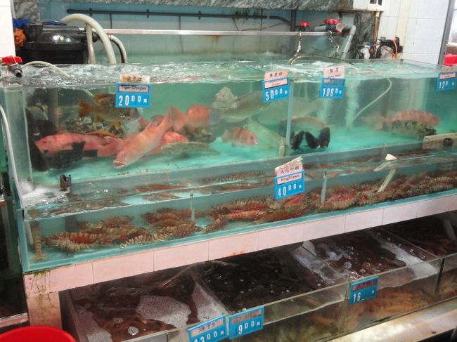 魚に　車エビ　マテ貝　あさりやハマグリもあります。