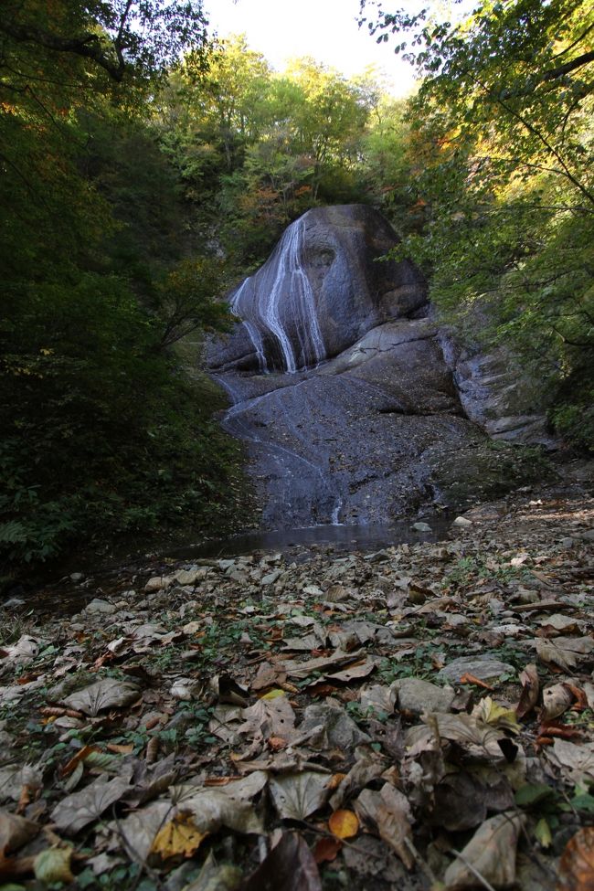 少し紅葉には早かったようです。