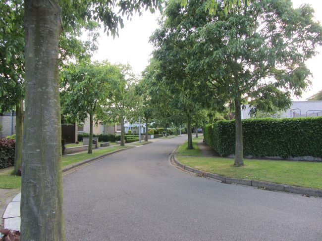 緑がいっぱい。こんなところに住んでみたいですね。