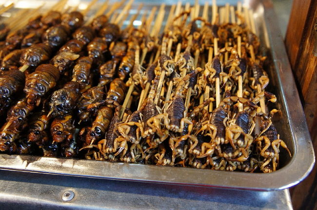 <br />③「二足なら親以外、四足なら机と椅子以外<br /><br />　走るものなら自動車以外、泳ぐものなら<br /><br />　潜水艦以外、空を飛ぶものなら飛行機以外<br /><br />　なんでも食ってしまう」<br /><br />　恐るべし！！写真は「サソリ串」でございま～す