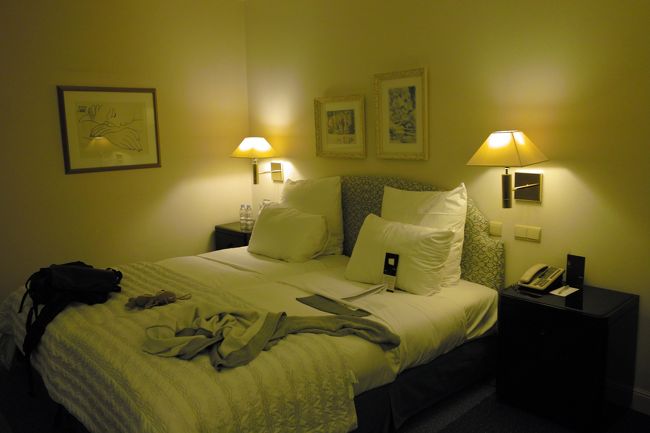 こじんまりとしたお部屋ですが広すぎず狭すぎず落ち着きます。窓をあけると駅が目の前に、でも、全然うるさくありません。とても静かです。<br />とりあえず着いてすぐに寝ます……<br /><br />