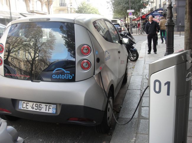 よく見かけた。