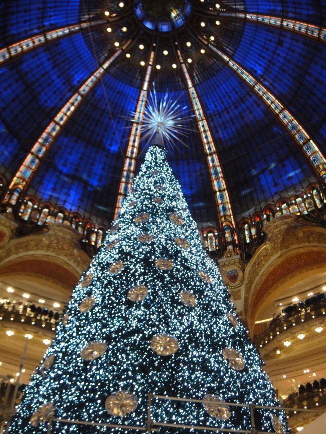 ラファイエットにクリスマスツリーがお目見え。