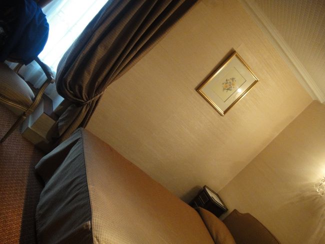 また同じホテルにチェックイン。今度は前回よりは広くていい。もう絶対シングルには泊まらない。<br /><br />けど、立地は良かったしスタッフは親切だし悪くないホテルだった。