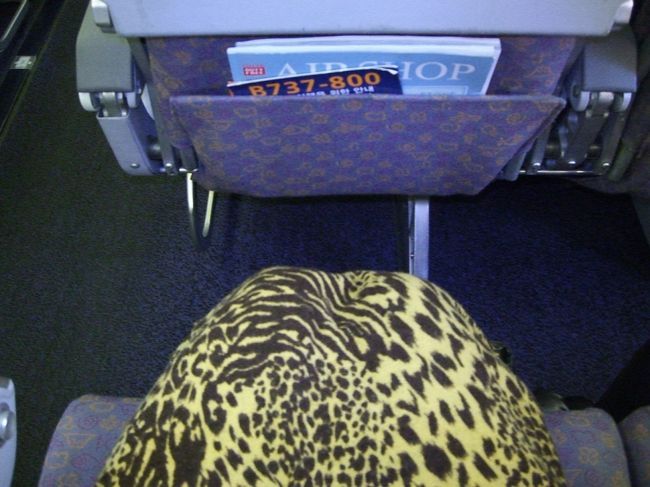 シートピッチはＪＡＬと変わりません。