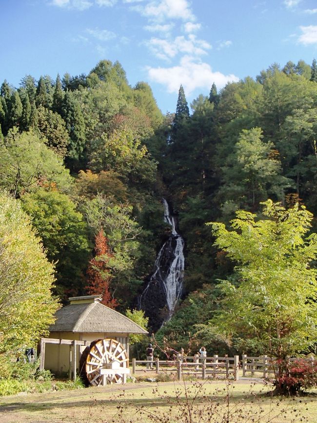 滝の周辺は公園として整備されています。手前には水車小屋がありました。七滝は道の駅の向かいにあるため、人が多かったです。週末ということもあり、複数ある臨時駐車場も満車に近かったです。