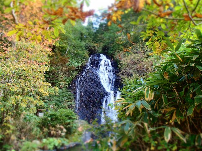 木の間から、滝をパチリ。木でつくったハートの中に滝があるみたいです。画像はコンデジのジオラマフィルター。