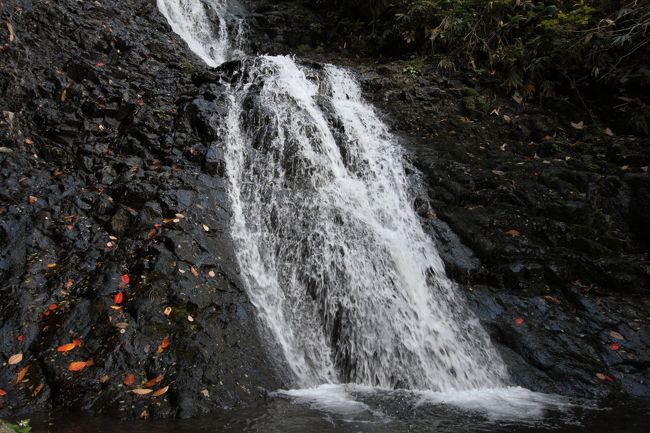 十和田火山噴火による安山岩。