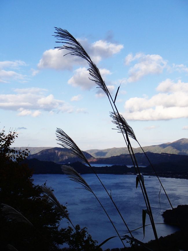 風が強く、雨の気配感じました。案の定、数分後にわか雨にあいました。公園にはススキが生えていました。
