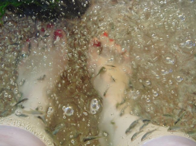 ネイルサロンの次はフィッシュスパへ<br /><br />くすぐったい〜<br /><br />気持ち悪くて笑いが止まらず