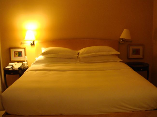 お部屋は普通<br /><br />朝食は1階のビュッフェとクラブラウンジの利用可<br /><br />ラウンジでも卵料理のオーダーは取ってくれるけど<br />1階ビュッフェの方が種類も多くて良かったみたい。<br />今回利用しなかったので次回はビュッフェにしてもいいかも。<br /><br />ナイトサファリは写真が暗すぎてダメだった・・ガーン