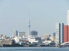 東京スカイツリーのどアップを撮ってみました。
