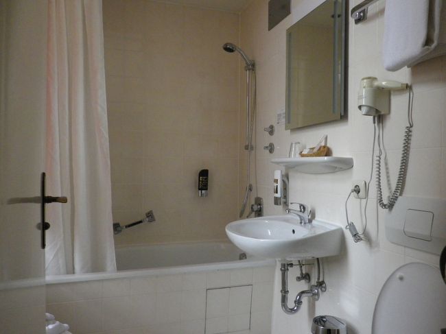 空いてるホテルで安そうなほうとったけど、ベッドルームとバスルーム完全にわかれてて、結局泊まるだけになるから十分すぎる。バスルームひろいと使いやすい。<br /><br />中央駅からも5分くらい。art hotel。