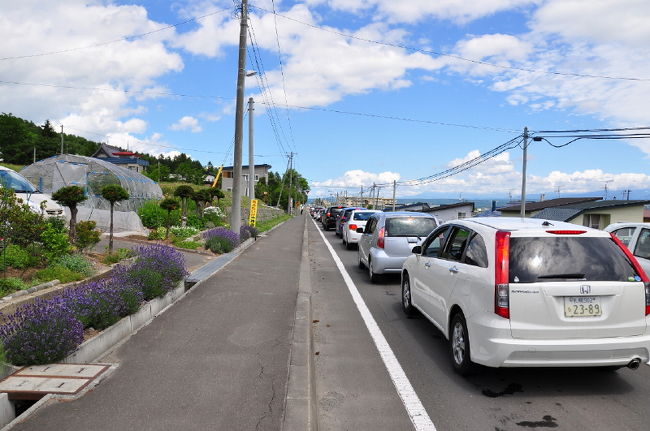 ②富良野渋滞<br /><br />　目指すは皆さん「富田ファーム」<br /><br />　・・が、しかし数本の道路は大渋滞<br /><br />　５キロくらいを１時間以上掛かった(T_T)