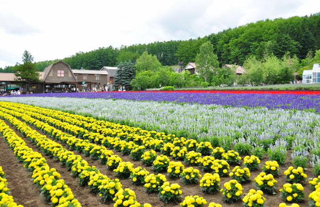 <br />②やっぱ人気観光地だけあって観光客も<br /><br />　多いし広々してる。