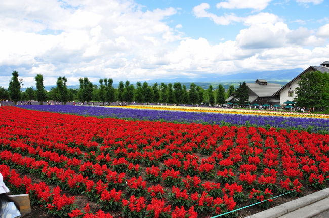 <br />②ゆっくり見たら３～５時間くらい<br /><br />　掛かるのでは・・