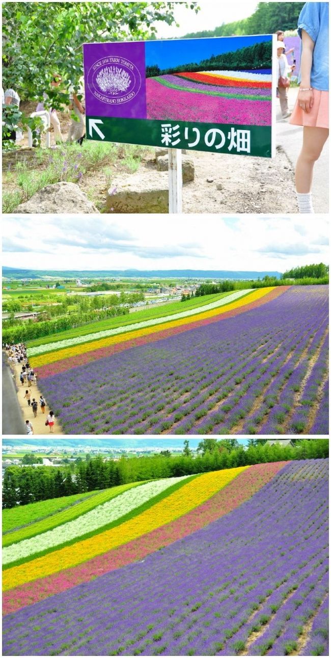 <br />②ココを見たくて皆さん来るんだよな～<br /><br />　♪あ～あ～ああああ～あ♪<br /><br />　北の大地だぁ<br /><br /><br />　クリック・クリックで拡大して見て下さい☆