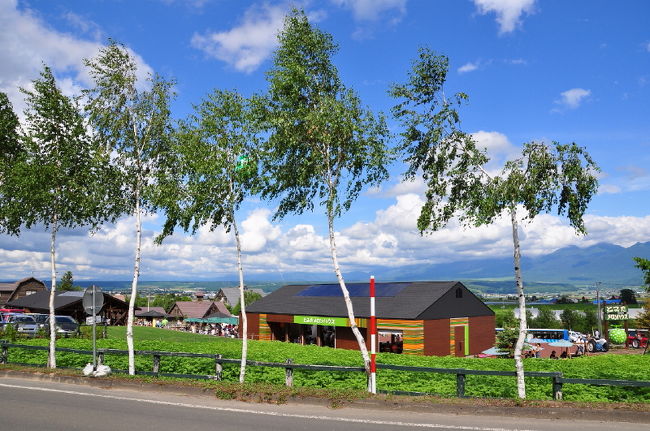 <br />②そろそろ帰ります<br /><br />　なかふらのラベンダー園に戻る途中で<br /><br />　撮影　この１枚は「お気に入り」です。