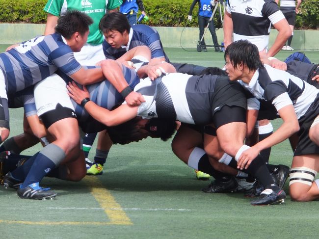 秋の宝ヶ池でスポーツ観戦を楽しむ 下鴨 宝ヶ池 平安神宮 京都 の旅行記 ブログ By Koumeさん フォートラベル