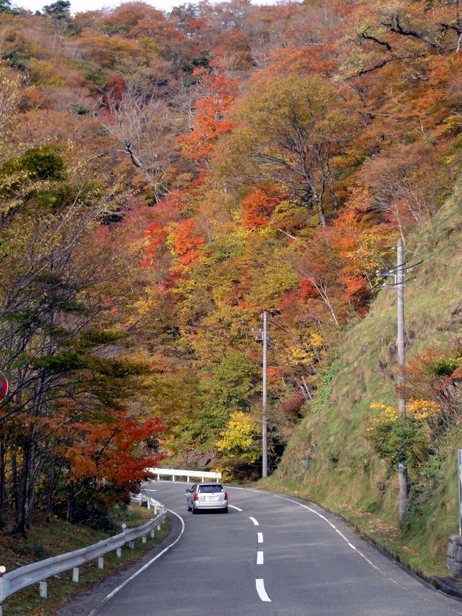 高野山の紅葉 奥之院 高野龍神スカイライン 高野大滝 護摩壇山 龍神岳 金剛峯寺 壇上伽藍 蓮池 霊宝館 高野山周辺 和歌山県 の旅行記 ブログ By Aoitomoさん フォートラベル