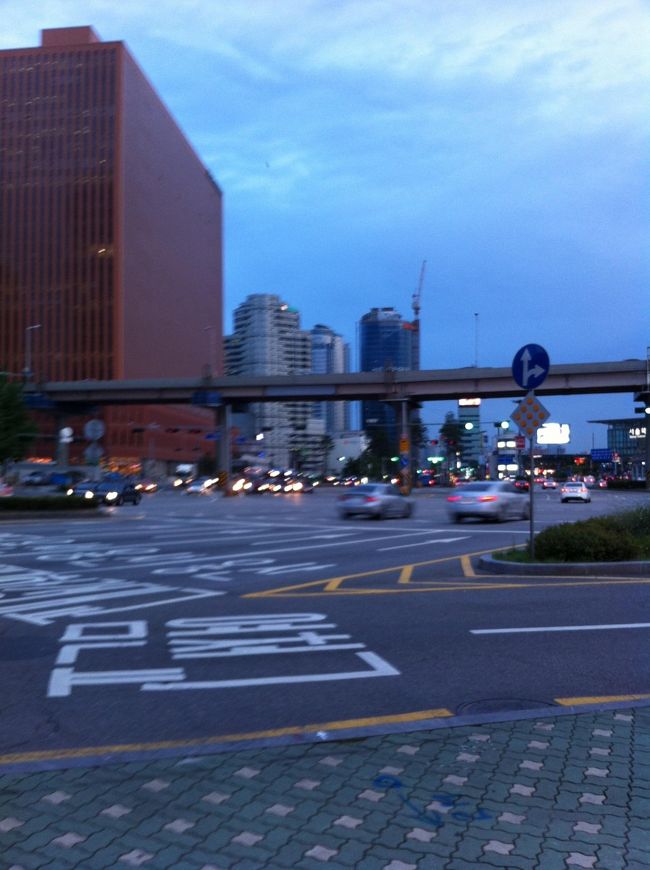 夕飯は隣のソウル駅にある智鎬漢方参鶏湯へ。旅後半のスタミナをつけに。