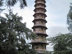 広いのでハイキングコースを歩くような気分ですよ^^)