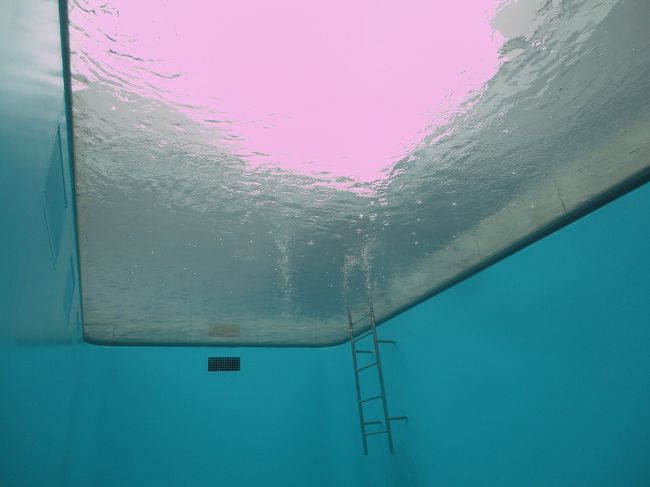 下から写すとこんな感じ