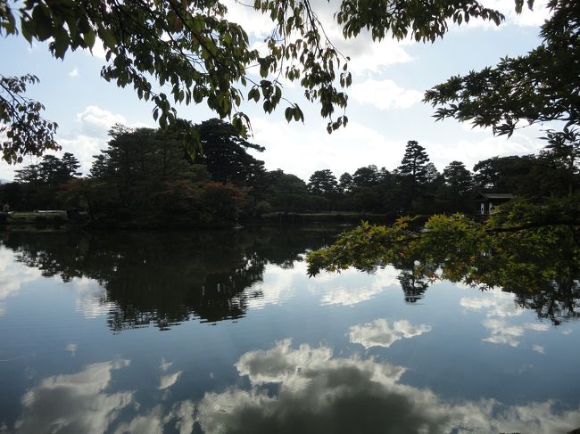 池に雲が映って　めちゃくちゃキレイ。