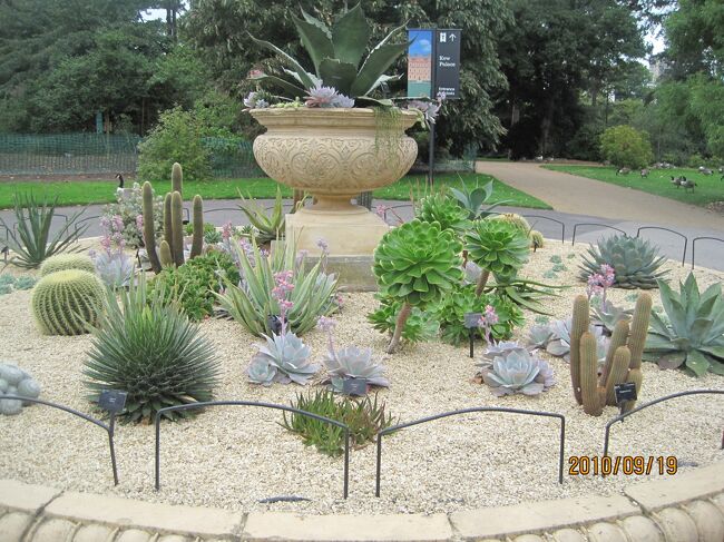 こんな感じの庭園も有ります。ホンの一部です。