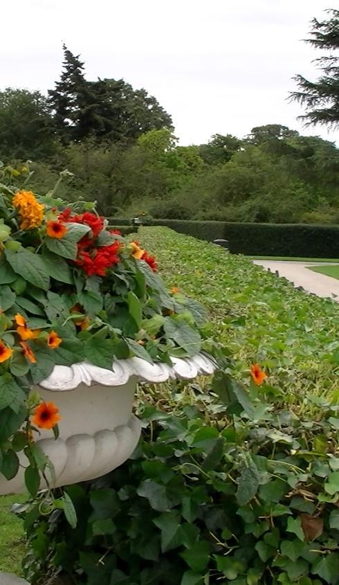 回りは、こんな感じで雑木林のようになっています。